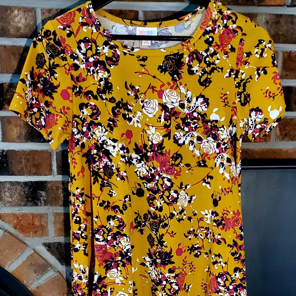 NWOT LuLaRoe Carly Disney Collection